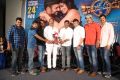 Balakrishnudu Pre Release Function Stills