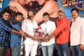 Balakrishnudu Pre Release Function Stills