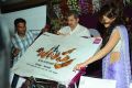 Shruti Hassan at Balupu Movie Logo Launch Stills