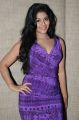 Actress Anjali at Balupu Success Meet Stills