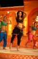 Balupu Shruti Hassan Hot Stills