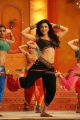Actress Shruti Hassan in Balupu Telugu Movie Stills