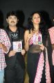 Actress Kamna Jethmalani @ Band Balu Audio Release Function Stills