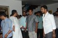 Bandipotu Movie Opening Stills