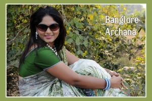 Bangalore Model Archana in Saree Photo Shoot Gallery