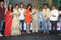 Bangaru Kodipetta Movie Audio Release Photos