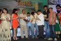 Bangaru Kodipetta Movie Audio Release Photos