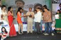 Bangaru Kodipetta Movie Audio Release Photos