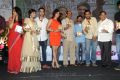 Bangaru Kodipetta Movie Audio Release Photos