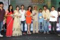 Bangaru Kodipetta Movie Audio Release Photos