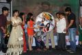 Bangaru Kodipetta Movie Audio Release Photos