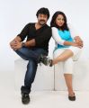 Raj Kumar, Samvritha in Barister Shankar Narayan Telugu Movie Stills