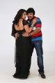 Samvritha, Raj Kumar in Barister Shankar Narayan Movie Stills