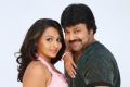 Samvritha, Raj Kumar in Barister Shankar Narayan Telugu Movie Stills