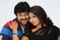 Raj Kumar, Samvritha in Barister Shankar Narayan Movie Stills