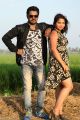 Mohan Krishna, Sirisha Dasari in Bava Maradalu Movie Stills