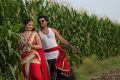 Mohan Krishna, Sirisha Dasari in Bava Maradalu Movie Stills