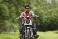 Actor Mohan Krishna in Bava Maradalu Movie Stills