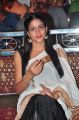 Actress Lavanya Tripathi @ Bhale Bhale Magadivoy Success Meet at Vijayawada Photos