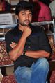 Actor Nani @ Bhale Bhale Magadivoy Success Meet at Vijayawada Photos