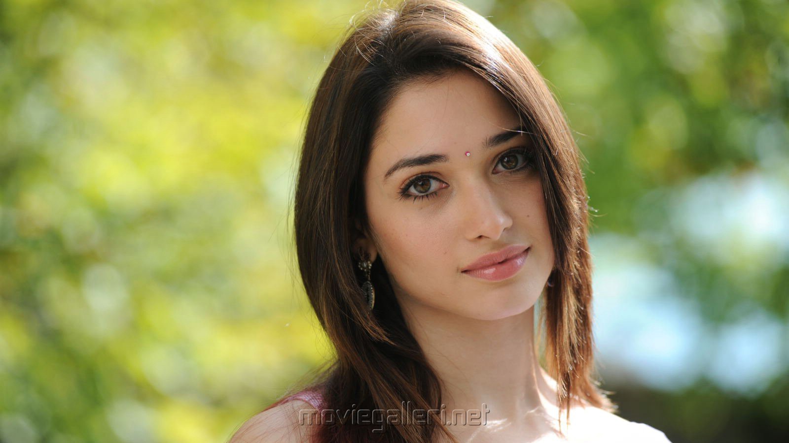 Beautiful Tamanna Gorgeous Wallpapers in Saree | New Movie Posters