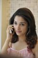 Milk White Tamanna Beautiful Pics