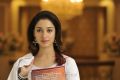 Milk White Tamanna Beautiful Pics