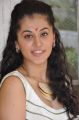 Actress Tapsee Latest Cute Pictures