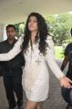 Actress Tapsee Latest Cute Stills in White Dress