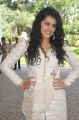 Telugu Actress Tapasee Pannu Latest Cute Stills in White Dress