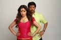 Lakshmi Rai, Srikanth in Begumpet Telugu Movie Stills