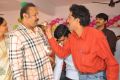 Bellamkonda Suresh Birthday Celebrations 2013 Photos