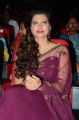 Hamsa Nandini @ Bengal Tiger Movie Audio Launch Stills