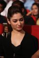 Tamanna @ Bengal Tiger Movie Audio Launch Stills