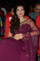 Hamsa Nandini @ Bengal Tiger Movie Audio Launch Stills