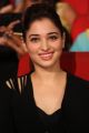 Tamanna @ Bengal Tiger Movie Audio Launch Stills