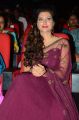 Hamsa Nandini @ Bengal Tiger Movie Audio Launch Stills