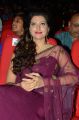 Hamsa Nandini @ Bengal Tiger Movie Audio Launch Stills