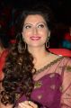 Hamsa Nandini @ Bengal Tiger Movie Audio Launch Stills