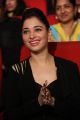 Tamanna @ Bengal Tiger Movie Audio Launch Stills