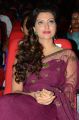 Hamsa Nandini @ Bengal Tiger Movie Audio Launch Stills