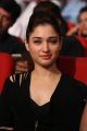 Tamanna @ Bengal Tiger Movie Audio Launch Stills