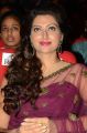 Hamsa Nandini @ Bengal Tiger Movie Audio Launch Stills