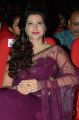 Hamsa Nandini @ Bengal Tiger Movie Audio Launch Stills