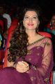 Hamsa Nandini @ Bengal Tiger Movie Audio Launch Stills