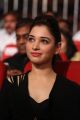 Tamanna @ Bengal Tiger Movie Audio Launch Stills