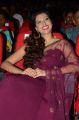 Hamsa Nandini @ Bengal Tiger Movie Audio Launch Stills