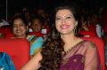 Hamsa Nandini @ Bengal Tiger Movie Audio Launch Stills