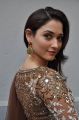Actress Tamanna @ Bengal Tiger Movie Opening Stills