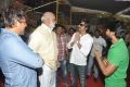 Bengal Tiger Movie Opening Stills